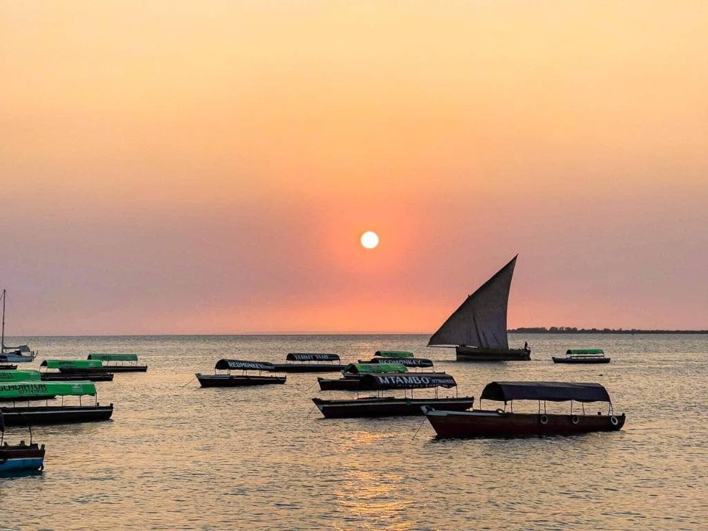 Best of Zanzibar Tours & Safaris — image 1